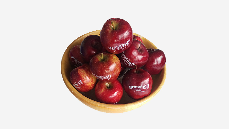 Bedruckte Äpfel Grasshoff Verpackungssysteme quer
