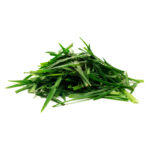 Ranpak Grasikraft Papier für Fillpak VE